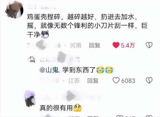 网络之海，真知的灯塔——我就说多上网能学到真东西吧！