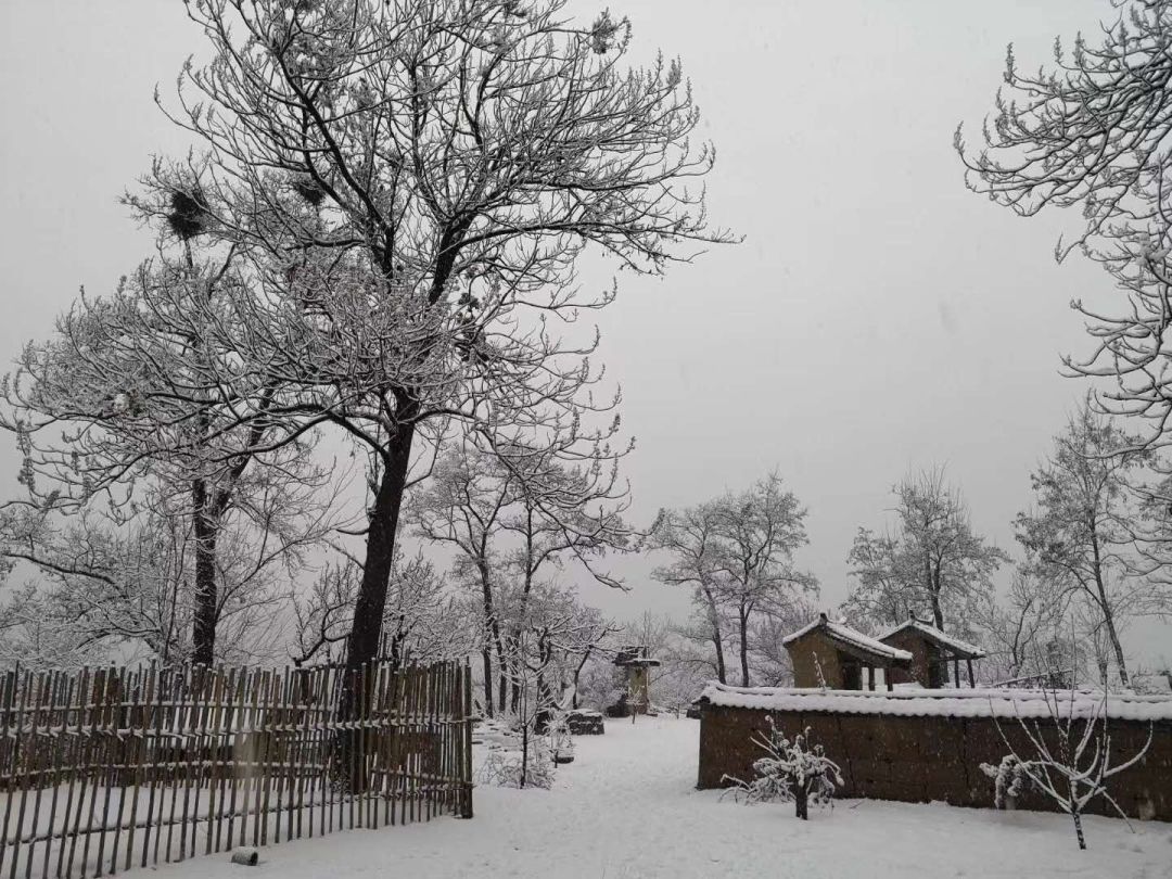 西安下雪了，古都银装素裹的冬日魅力