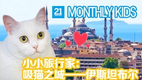 小小迪爱探店之带马哥揭秘神秘猫咖，一场萌趣横生的探秘之旅！