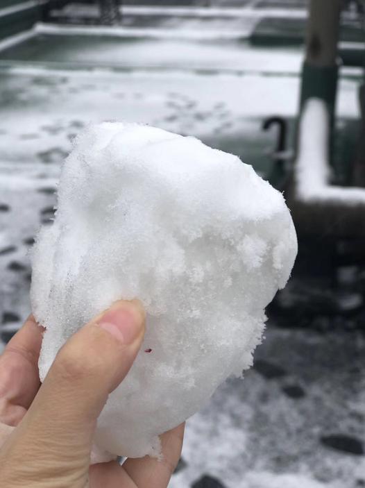 杭州路积雪现象深度解析与观察