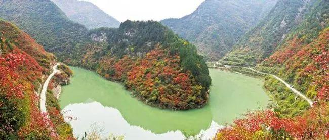 景区投放机器腿，探索未来旅游新体验