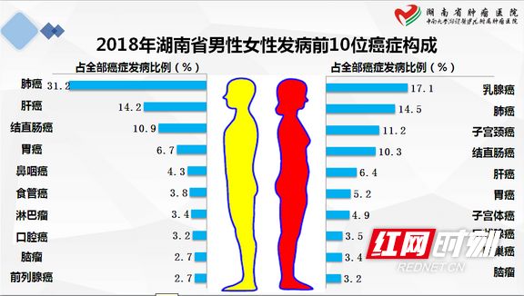 乳腺癌死亡人数激增！每年猛增68%，谁在无声中敲响警钟？