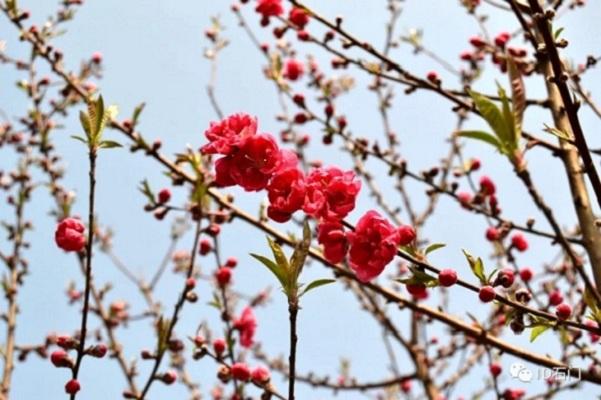 湖南惊现极端天气，白天温暖如夏，夜晚冰雹来袭，究竟是何原因？