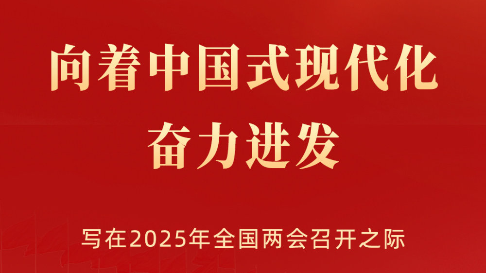 关于向着中国式现代化奋力进发