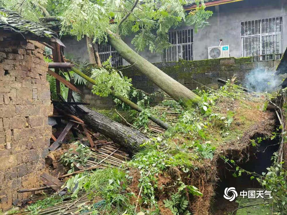 广东湖南雷暴大风冰雹预警，极端天气下的挑战与应对