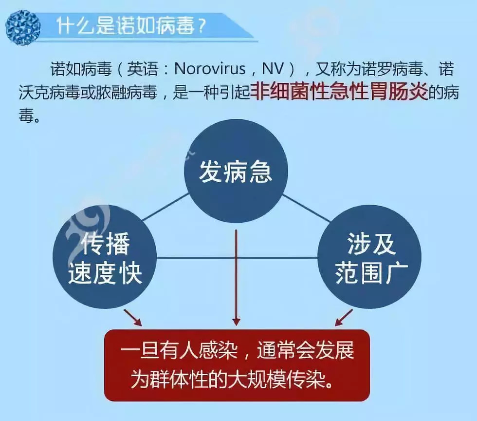 诺如病毒只传小孩不传大人？假