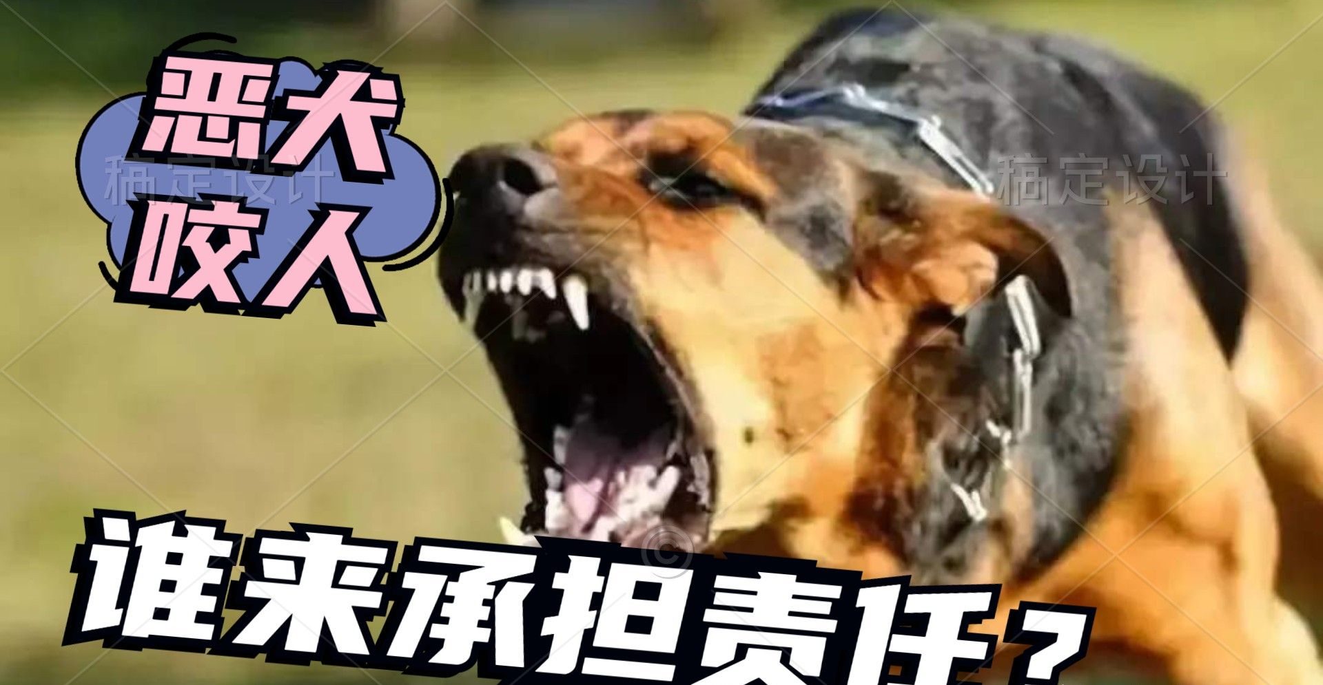 恶犬开窗跳车咬人