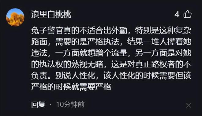 杭州兔子警官遭遇的挑战，执勤时有人当面闯红灯的情境解析