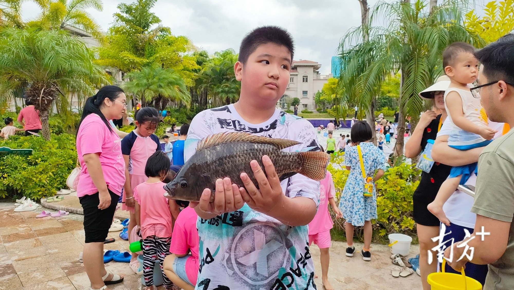 揭秘漂到三亚男孩背后的真相，父亲辟谣抽干水塘背后的故事